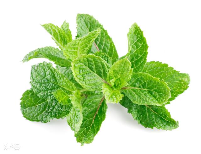 c088c1a3bc194a72bdb926a3ee5f1882.jpeg