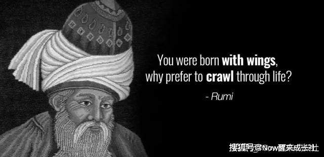 鲁米鲁米(molana jalaluddin rumi ,1207-1273),是与成吉思汗同时代