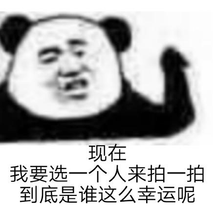 熊猫头关于微信拍一拍的表情包合集|希望喜欢我的人拍