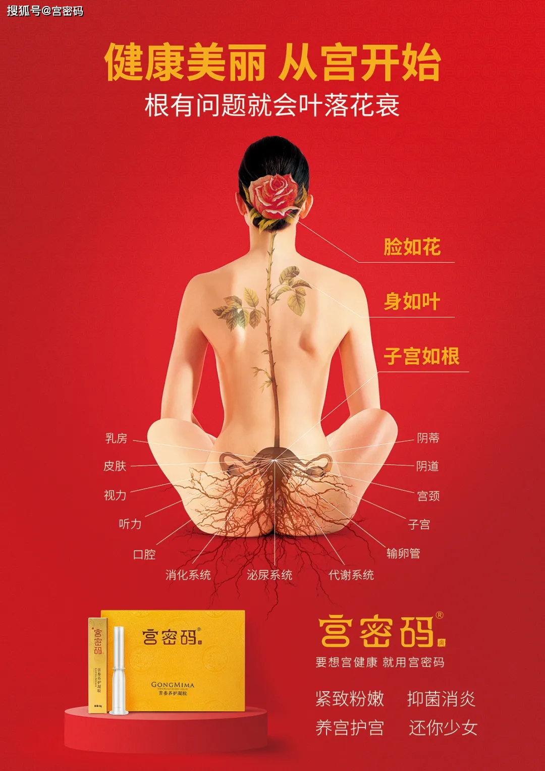 点击进入看图评论 图片关键词
