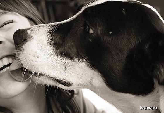 152f7bc99f0f43f187076349bbd19c5e.jpeg