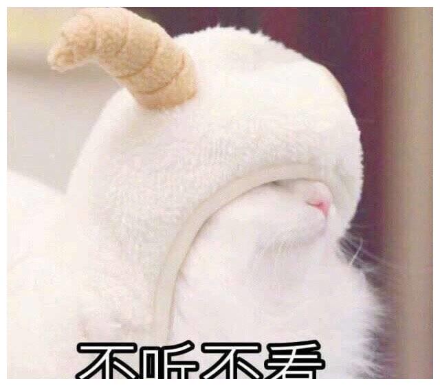 4c26b594f1db43d08bcd4bca5344dbfc.jpeg
