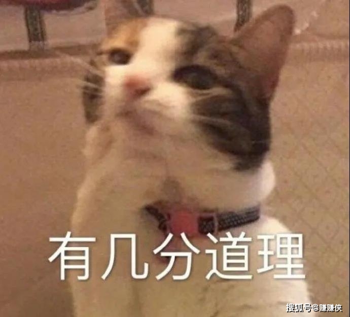 搞笑表情包图片别惹我拳头会硬的
