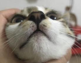 06d3080f6da947b8b8e9b32c55dc951f.jpeg