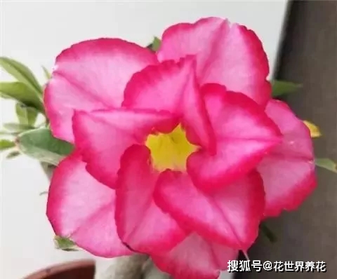 59852a89ff024df5a5699edfc0f63c67.jpeg
