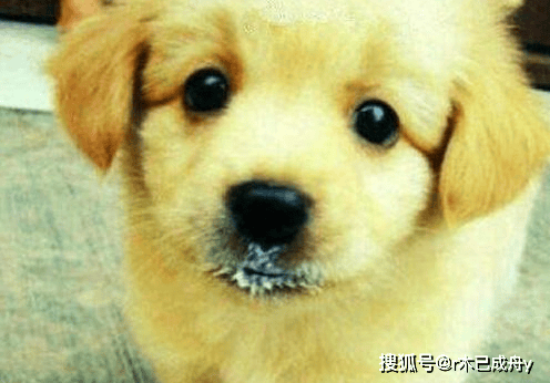 66b7e59f745448169e7d661fed3f7183.png