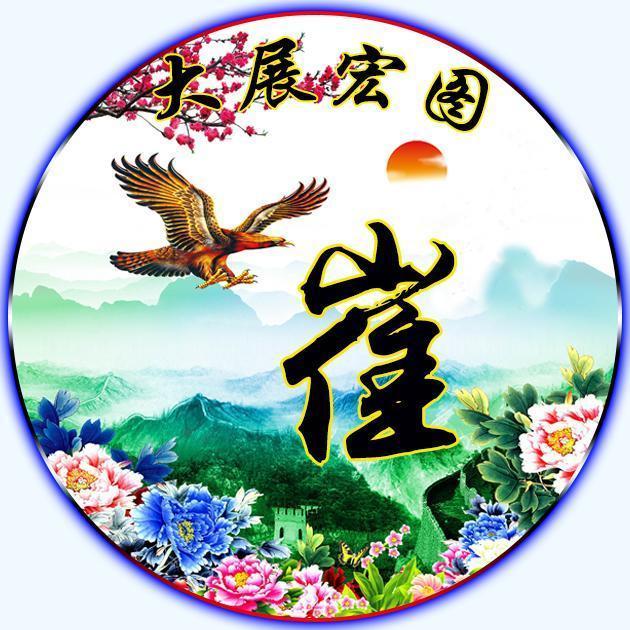 高瞻远瞩,大鹏展翅,雄鹰霸气励志姓氏微信头像,送给励志的你!_竞争