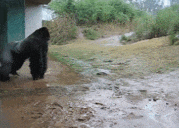 下雨了,赶紧回家收衣服了