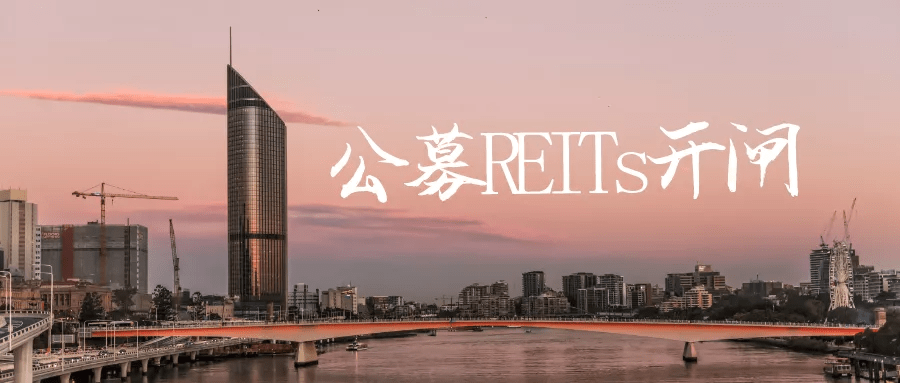 中国公募reits:水大鱼大