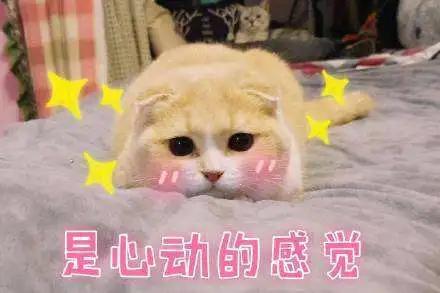 47ff08ed46da4e51b4f1331991994893.jpeg