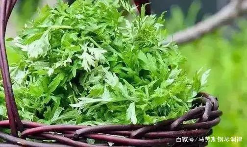 中国传统节日——端午节