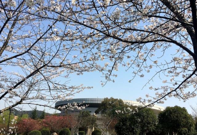 浙江省最好的3所中学，一本录取率在90%以上，考上就是准大学生