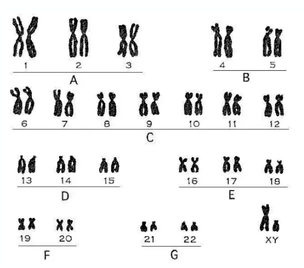 2824d88c83384d6abb7327a7bc0bc1b2.png