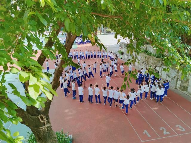 金榜题名|金榜题名季 | 轻松一夏，自信“应战”第四中学凤凰花开时
