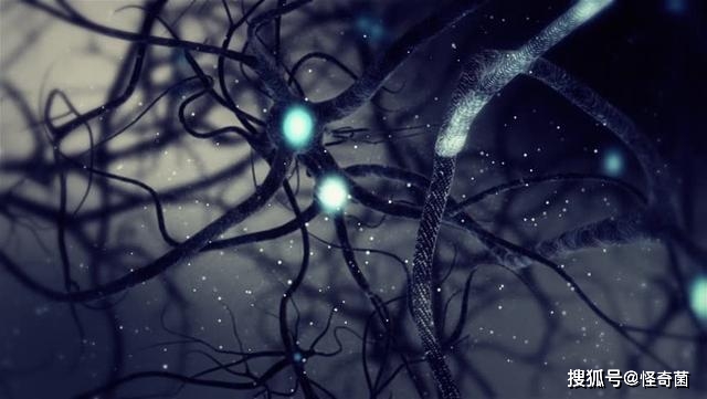 怎么样看前世记忆 aa4272a140d64e6f9356ae91edd0fdde.jpeg