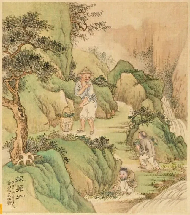 八哥儿@小弓射粉团 一笑向杯盘，