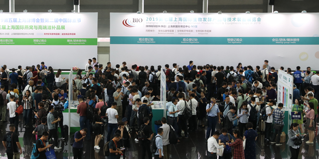 东盟五国2020gdp_东盟十国国旗