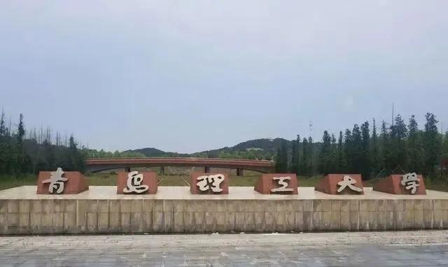 山东名校大学排行_校友会2019山东省一流学科排名山东大学第一