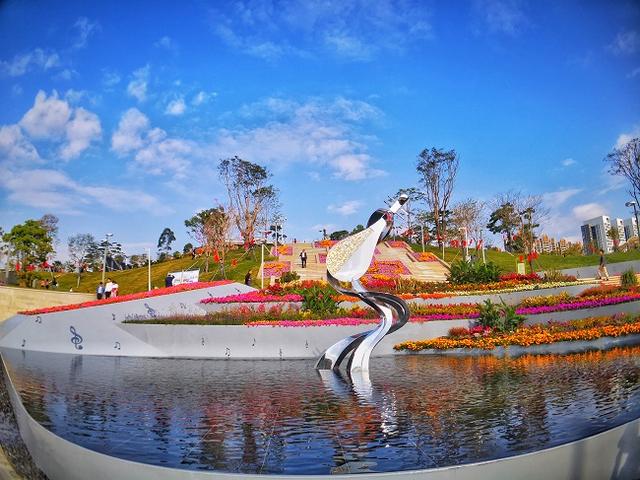 深圳观澜gdp_深圳观澜(2)