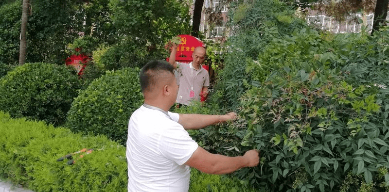 汝师附小:修剪花草树木,美化校园环境