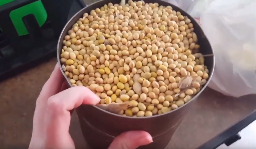 单月在华创收347亿!巴西商却拒签“无病毒”证明