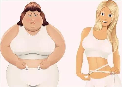 新孕专栏丨孕妇肥胖怎么办?保持身材很重要!