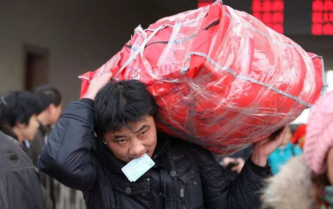 知识科普|“学历无用论”是一剂毒药，可怕的是你还信了