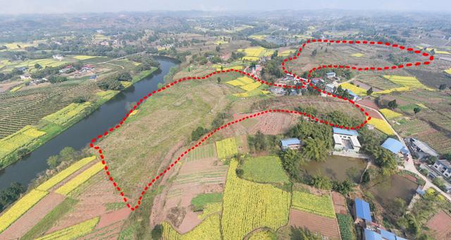 四川眉山仁寿县禾加镇100亩果园转让,谢安镇110亩果园