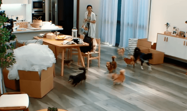 郭碧婷发伤感文字引热议，向太再次澄清：别误