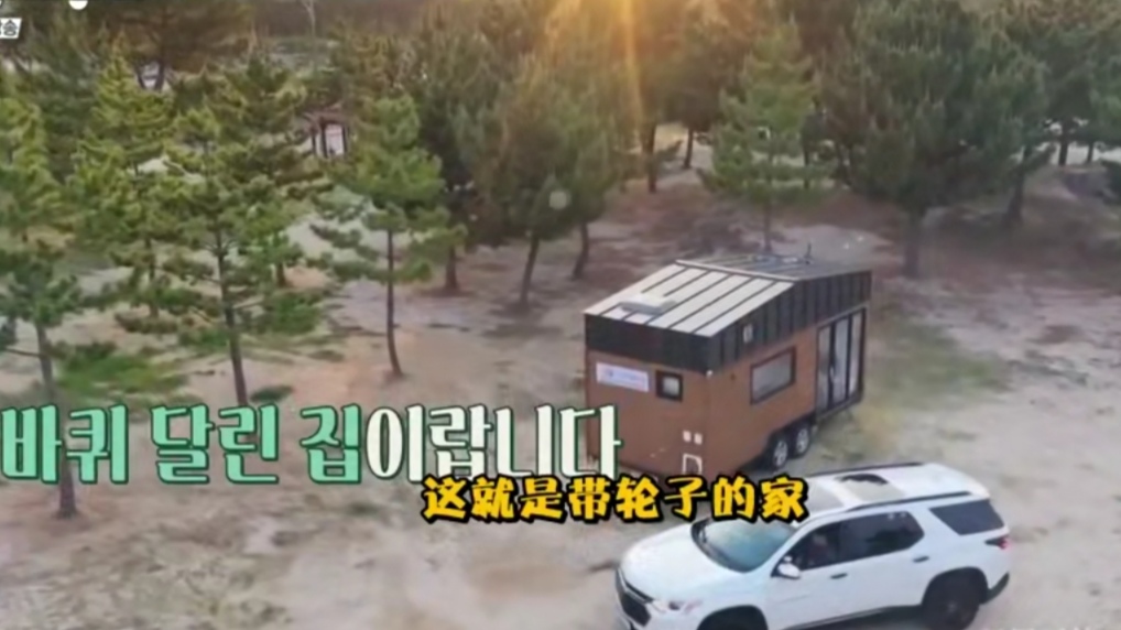 TVN最新神仙综艺！开播评分飙到8.7，搞笑又治愈