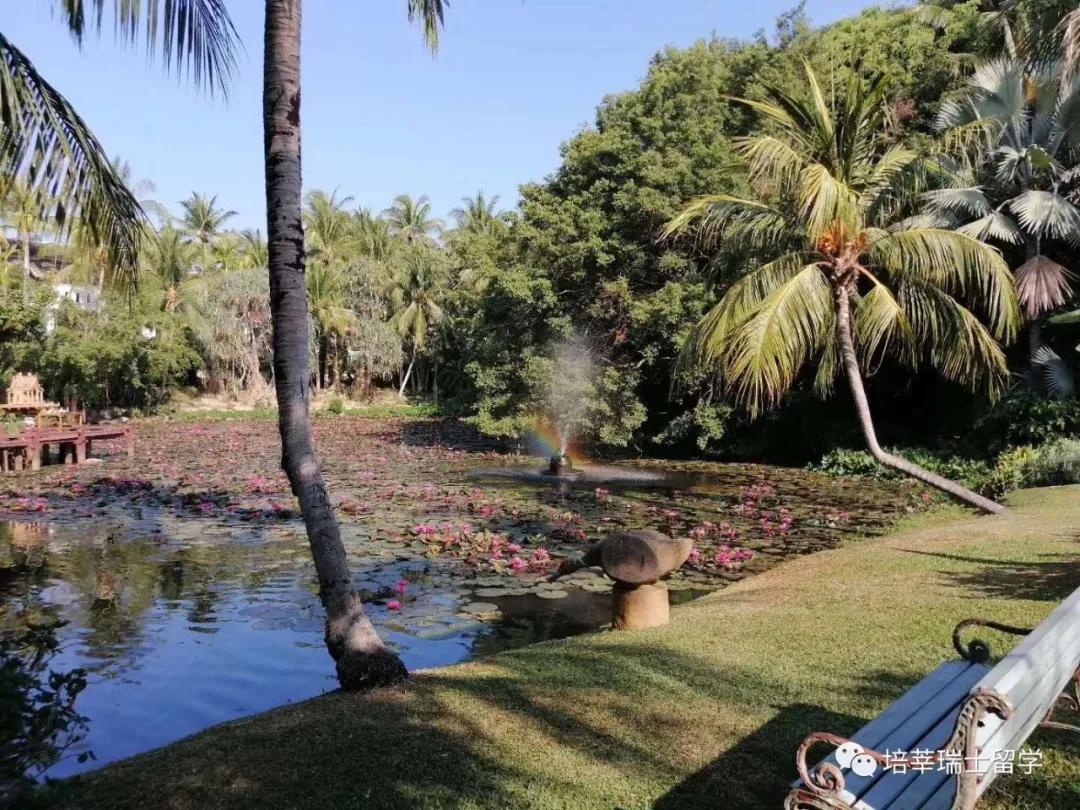 实习|当初，我是怎么说服父母去瑞士留学酒店管理的？