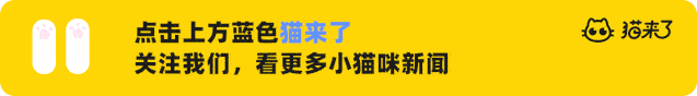 生活|吸了200只猫!”“我在一座与世隔绝的岛上