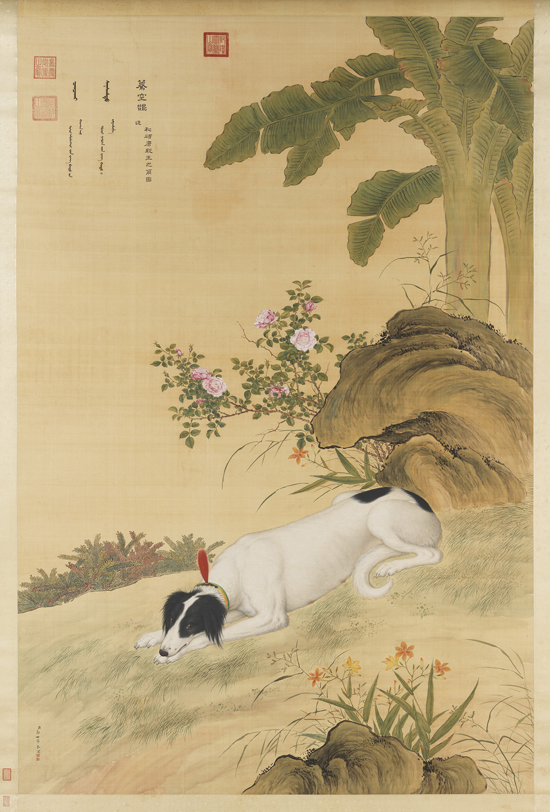 古作赏析：郎世宁《十骏犬图之蓦空鹊轴》_搜狐网
