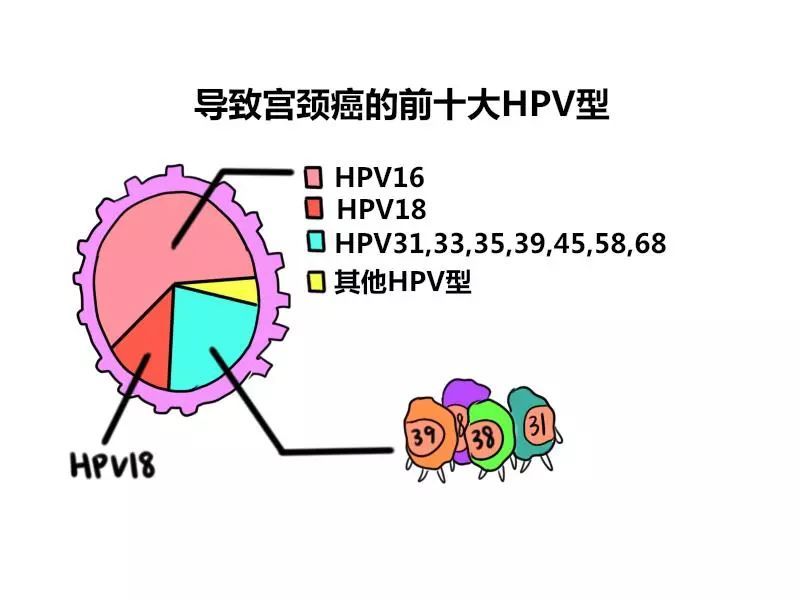 宫颈活检感染了怎么办