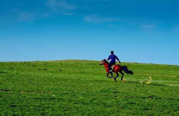 乌兰察布不仅避暑,还可以骑马,射箭,无拘无束地奔走在广阔草原之中