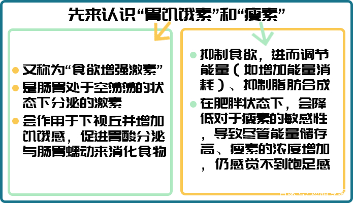 怎么样才能减少饥饿素 7de7a3ff6cc2447fbb931385165c4bef.jpeg