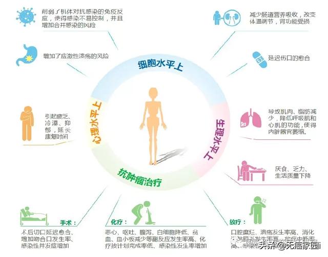 20%的肿瘤患者直接死于营养不良!这些问题你注意过吗?