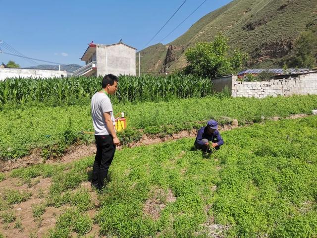 漳县四族人口_漳县贵清山图片(3)