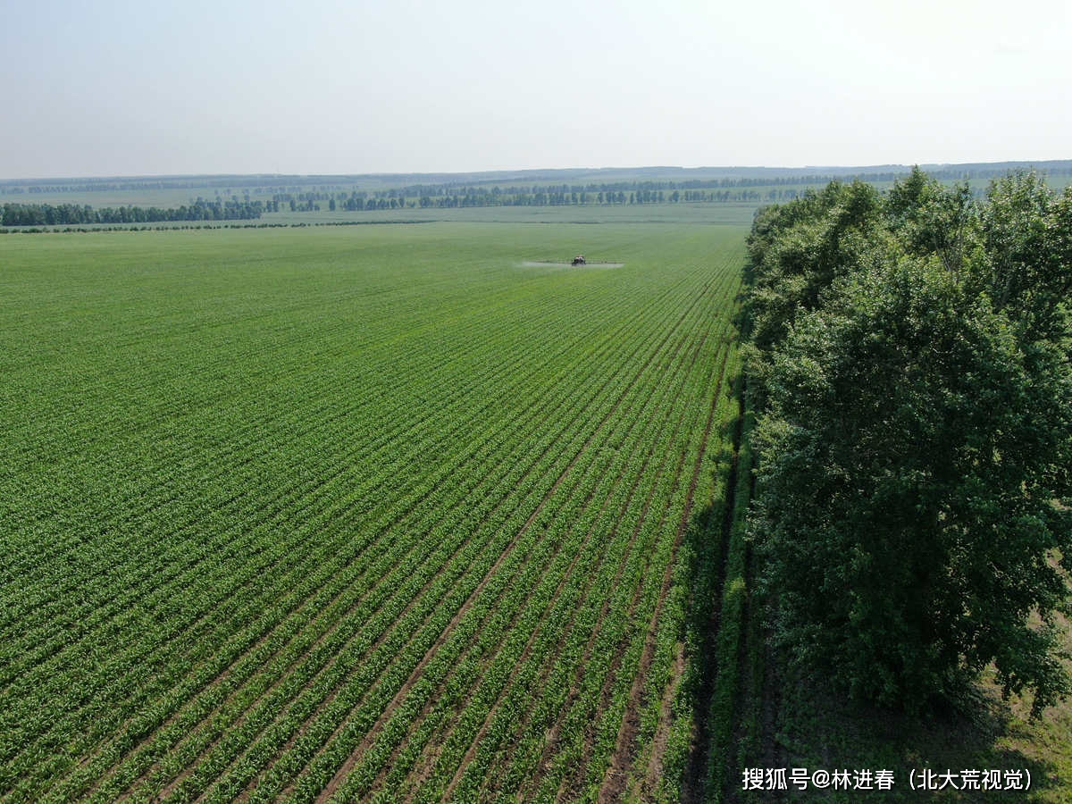 北大荒:红五月农场推进中耕作业,促进作物成长