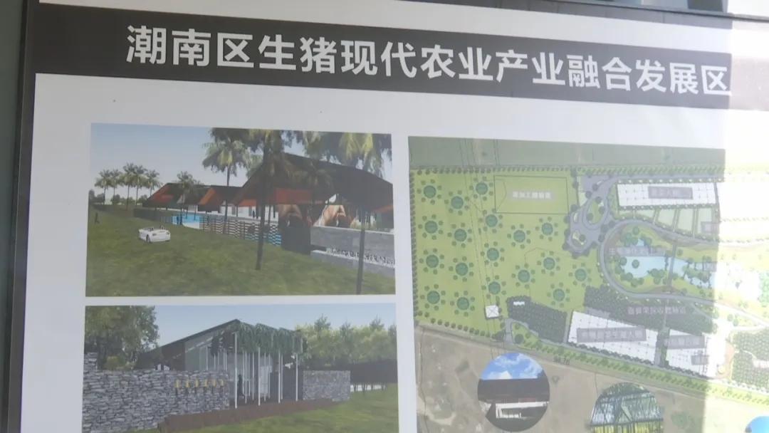 潮南区生猪省级现代农业产业园计划2020年10月建成