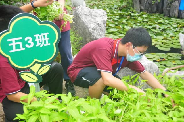 江苏省无锡市坊前实验小学联盟校探访微农场活动