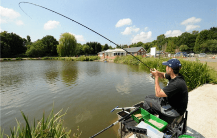 草鱼|专钓鲤鱼和草鱼，成本不高效果很好用这玩意做鱼饵