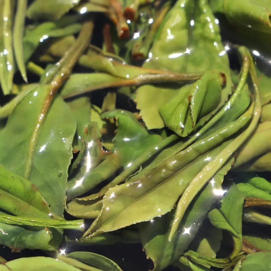 时节|养生正当时，食疗、茶疗法，总有一款适合你！小暑有“伏气”