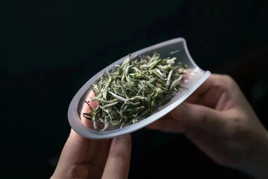 时节|养生正当时，食疗、茶疗法，总有一款适合你！小暑有“伏气”