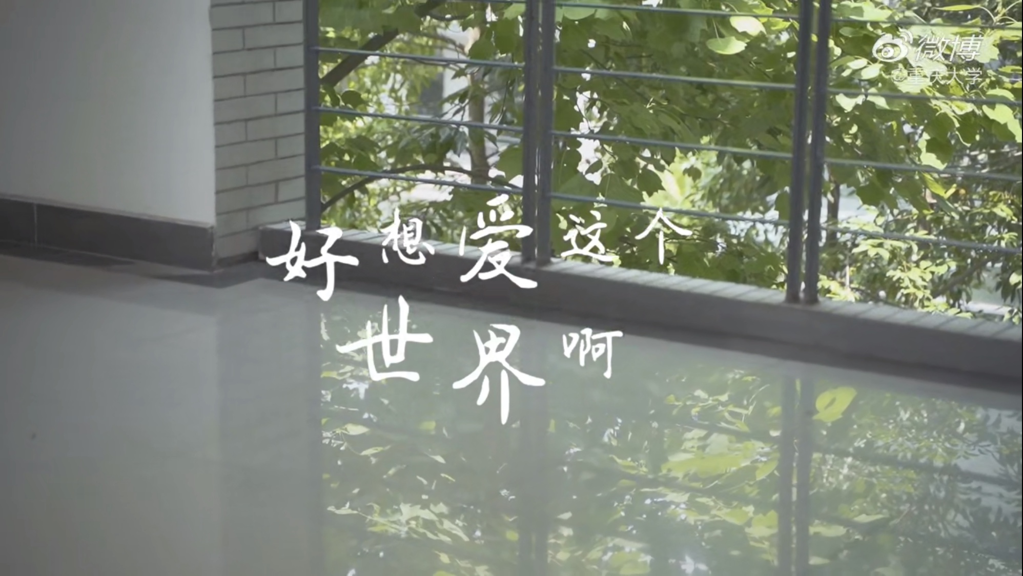 高校|高考首日！各大高校花式应援上线 你pick哪一种