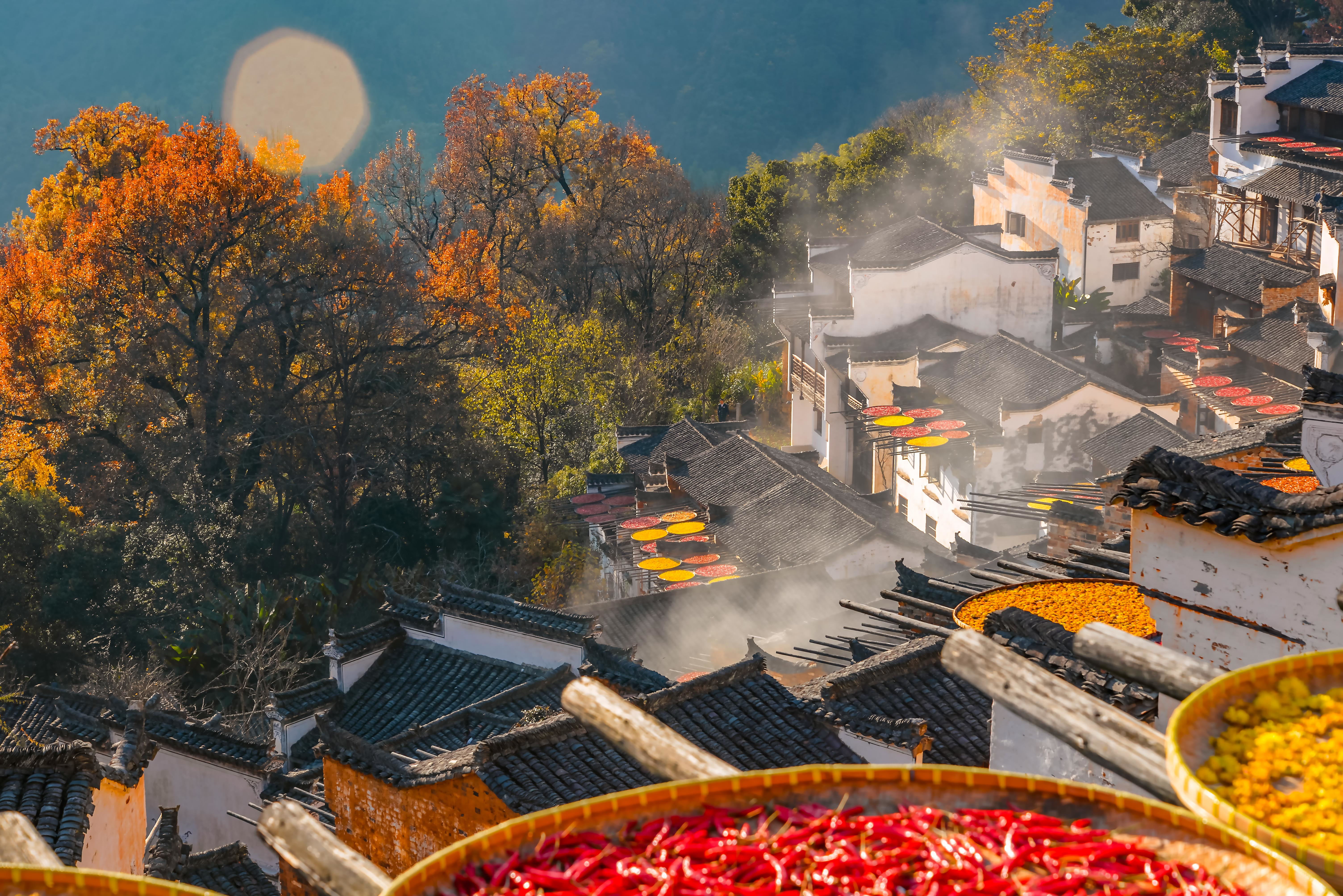 又是一年高考季,还记得篁岭晒秋是哪年的高考题吗