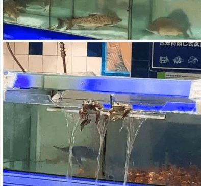 原创
开心一刻笑话:小时候学校进行消防演习,老师说跑得快是聪明人