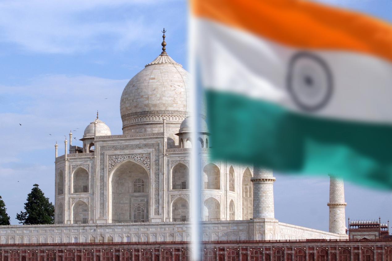 2019孟买gdp_孟买猫(3)