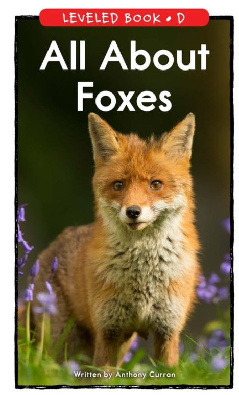 伴读| raz d:all about foxes