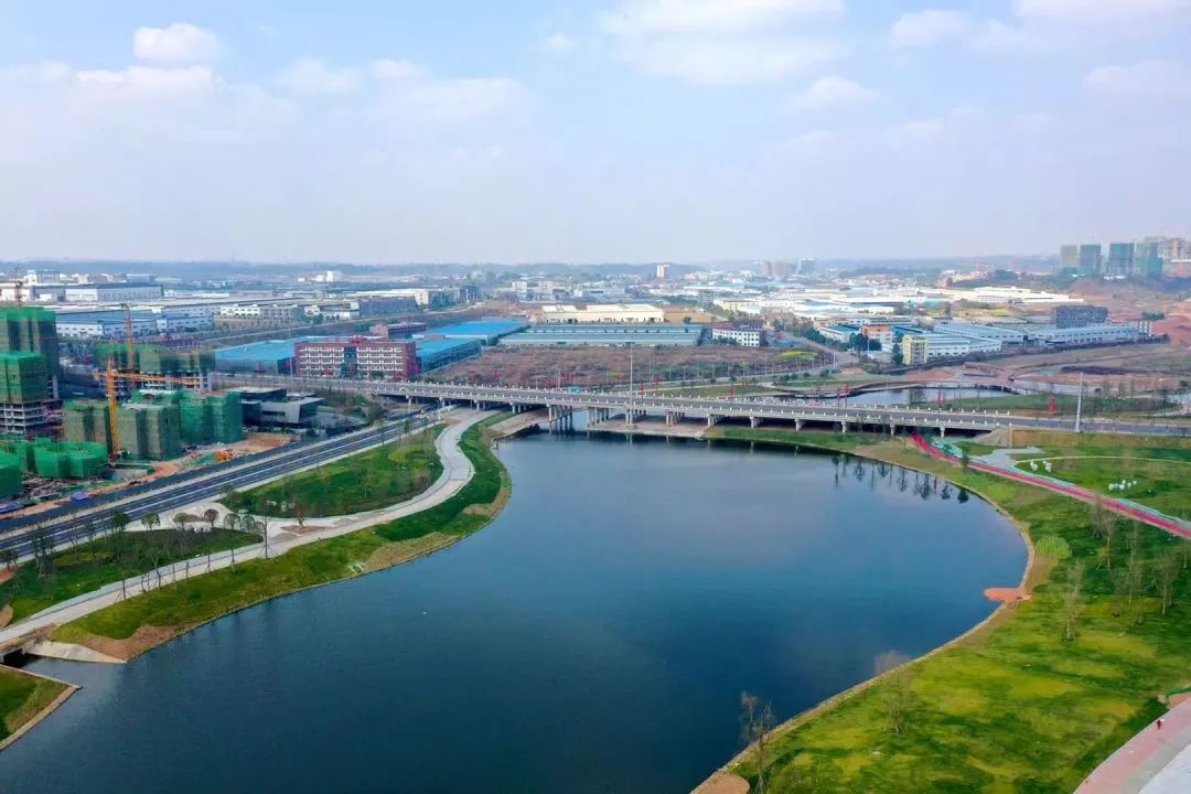 文章配图-11
